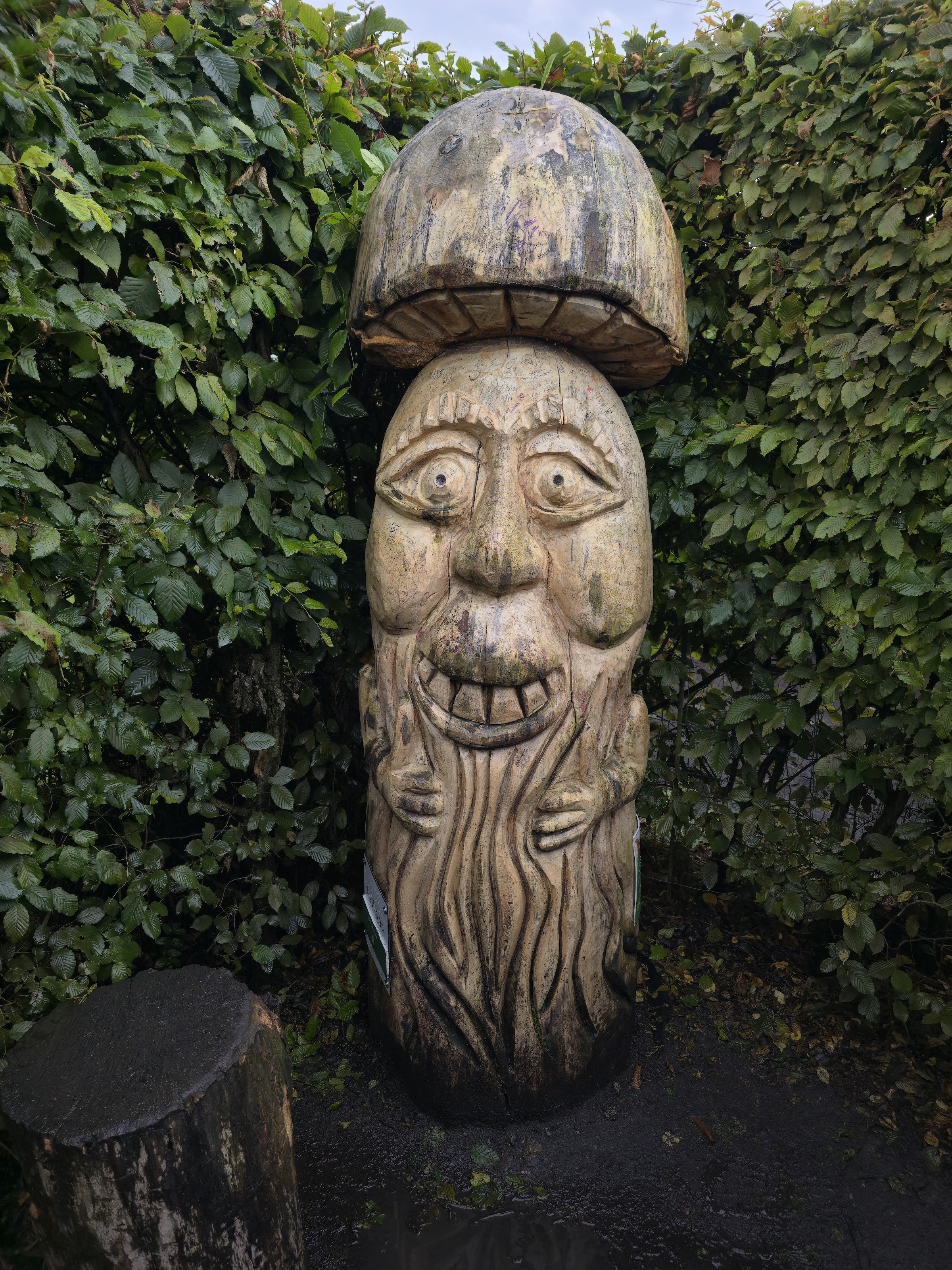 Obludiště Dolní Pěna